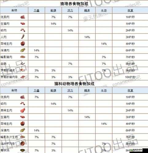 流放者柯南，全面生存攻略与详尽新手入门指南解析